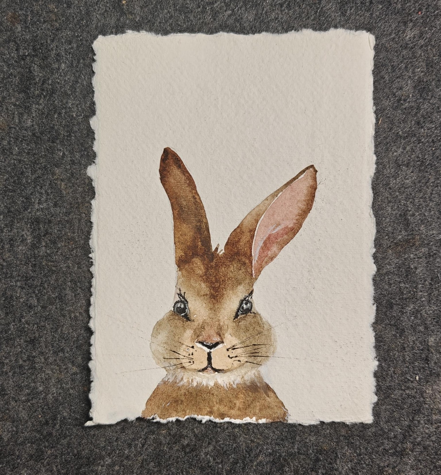 Cute little animals - image 4 - student project