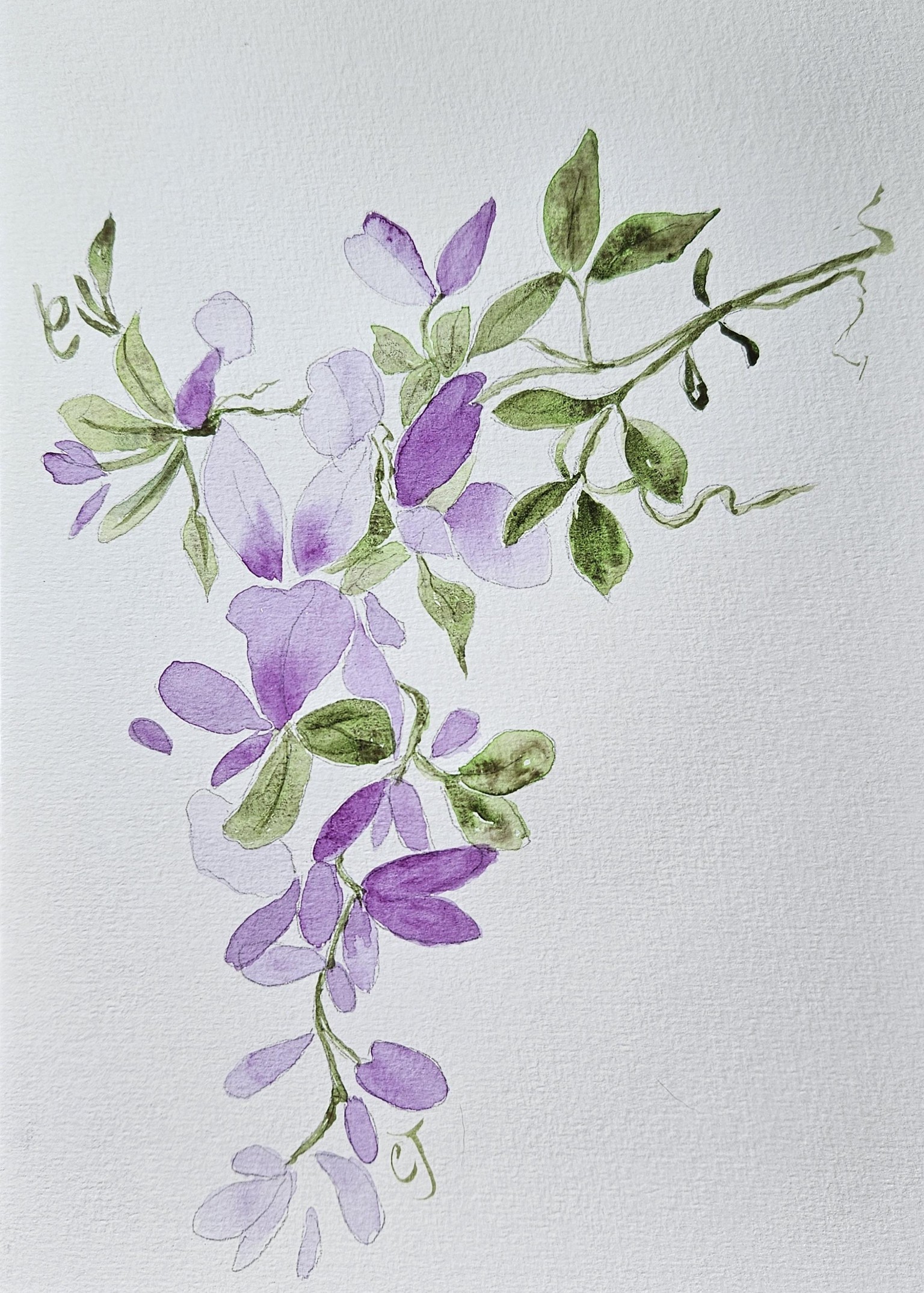 Wisteria - image 1 - student project