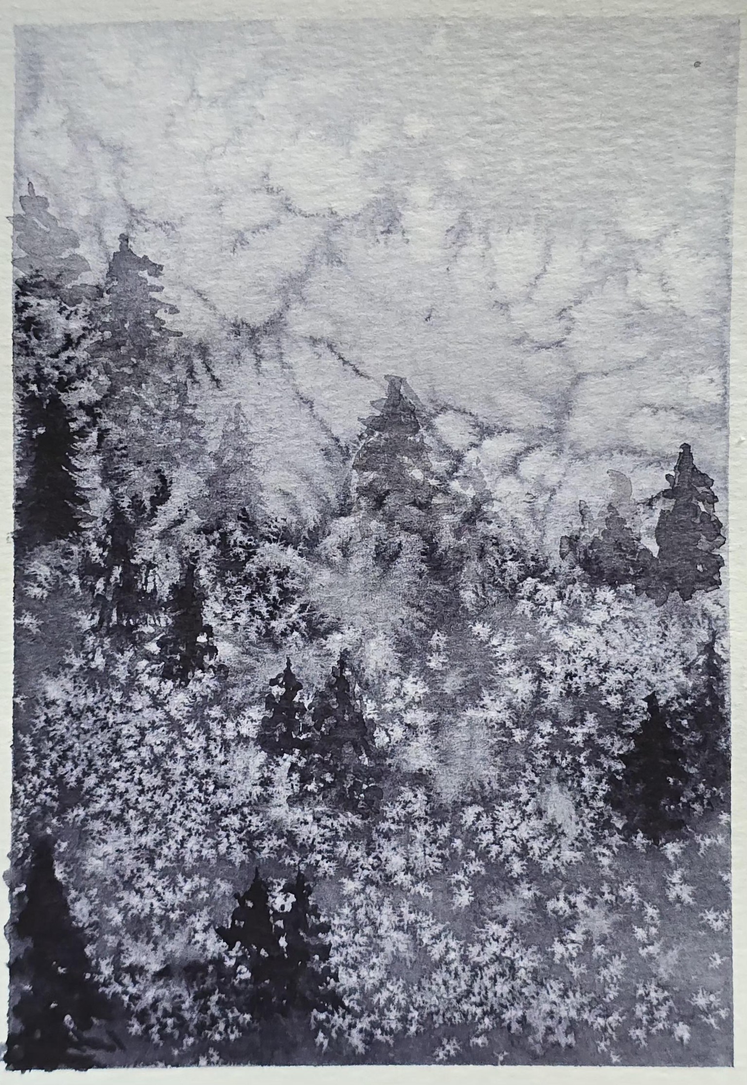 Exploring texture with watercolours - image 3 - student project