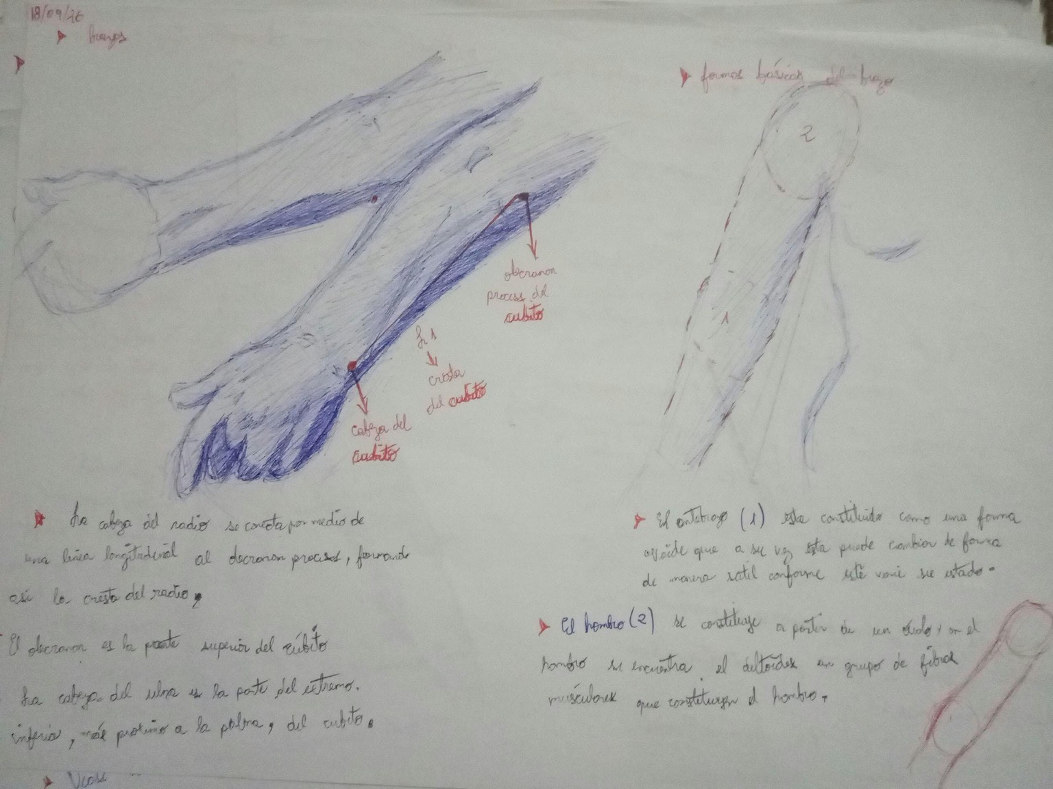 Gesto - image 9 - student project