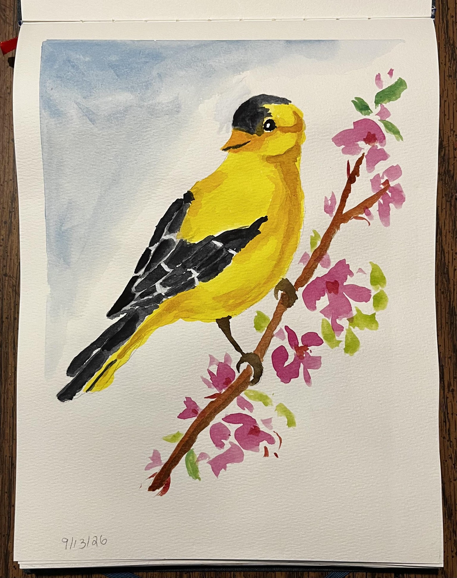 Birds - image 3 - student project