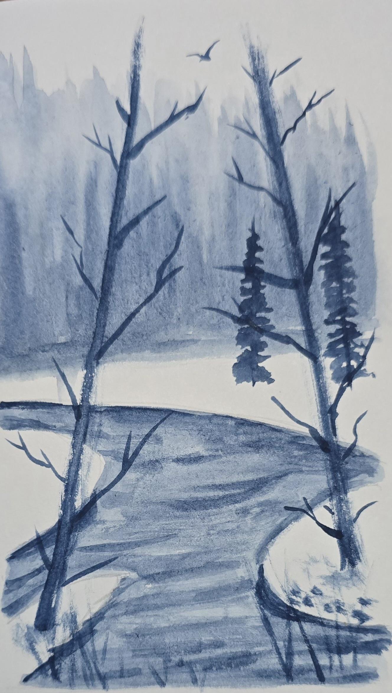 Monochromatic misty pines - image 4 - student project