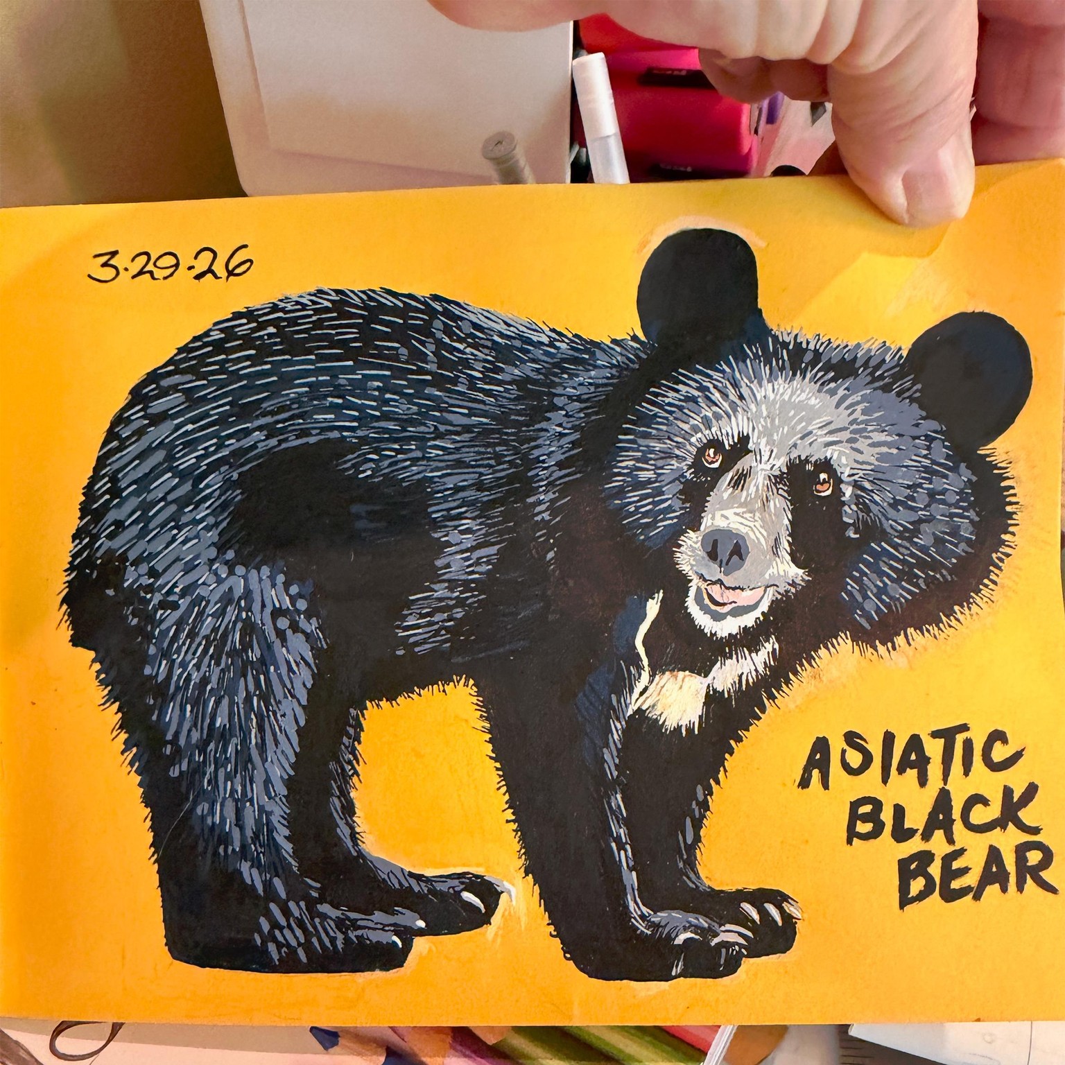 30 Days of Bears - image 3 - student project
