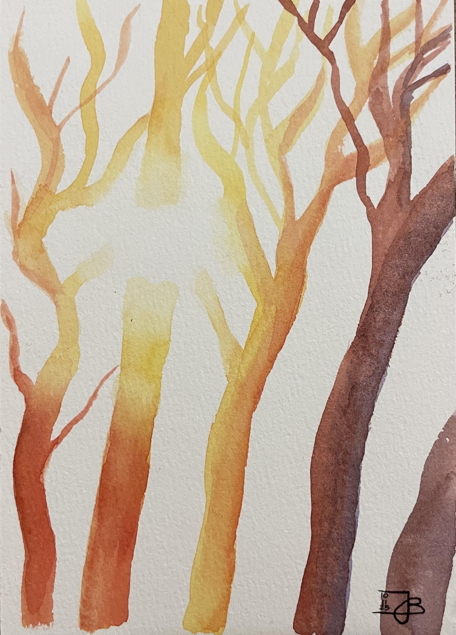 Sunshine practice - image 1 - student project