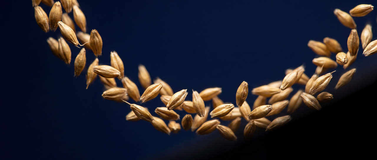 Beer Can Macro and Barley - image 3 - student project