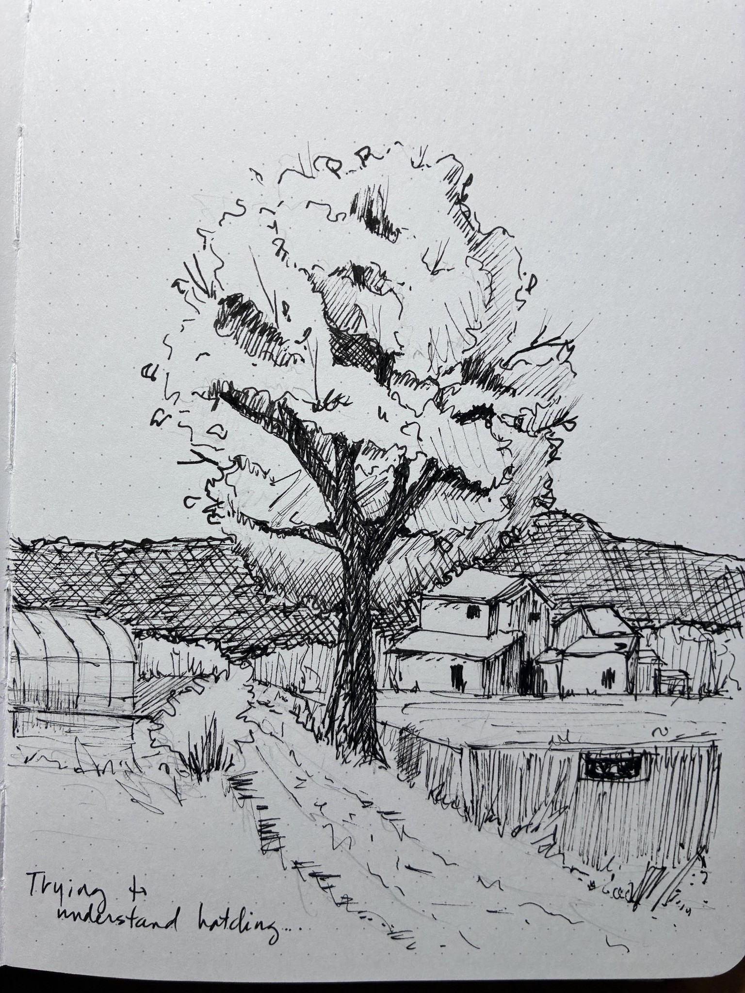 Realistic Trees - image 5 - student project