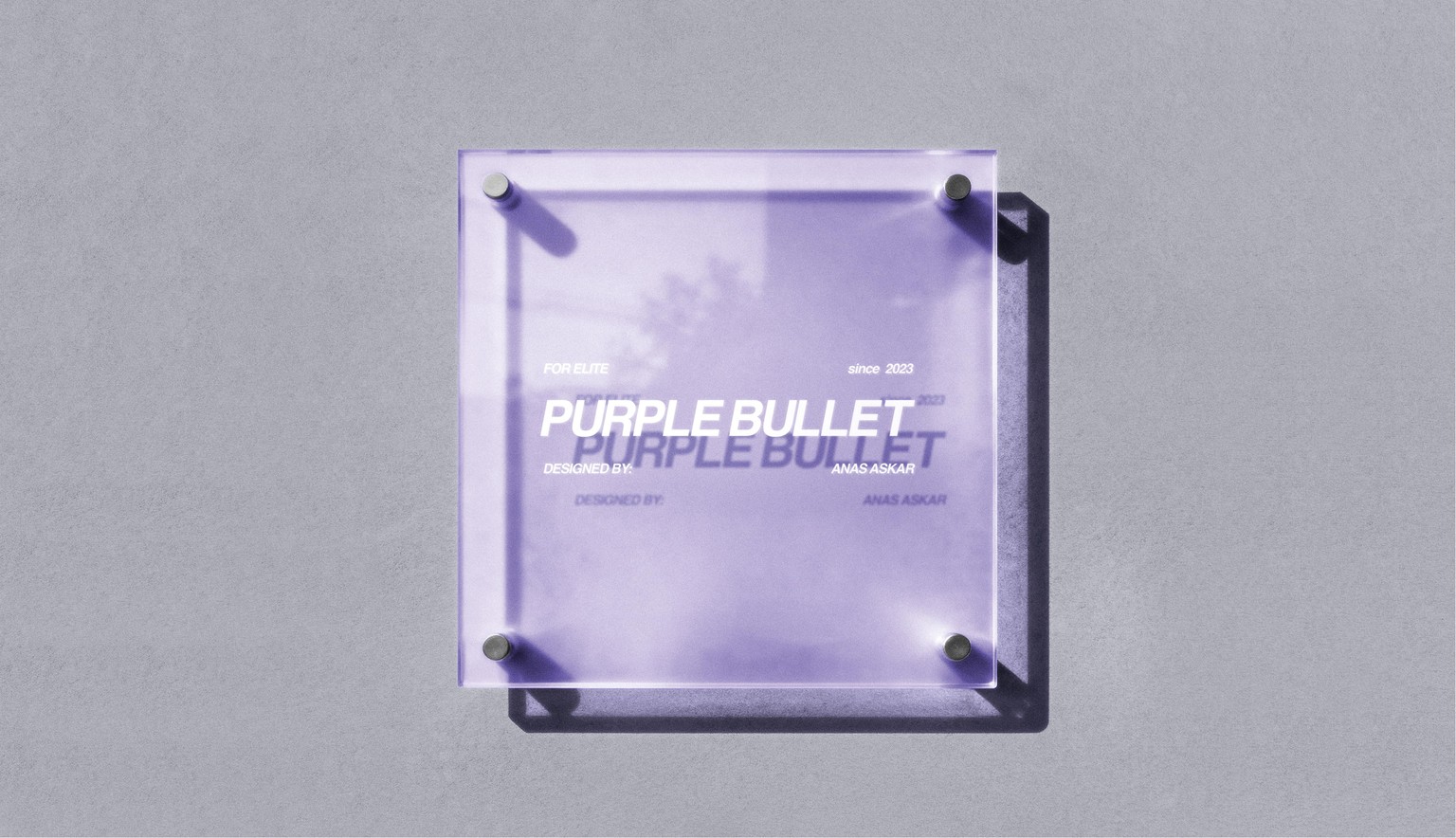 Purple Bullet Company - image 7 - student project