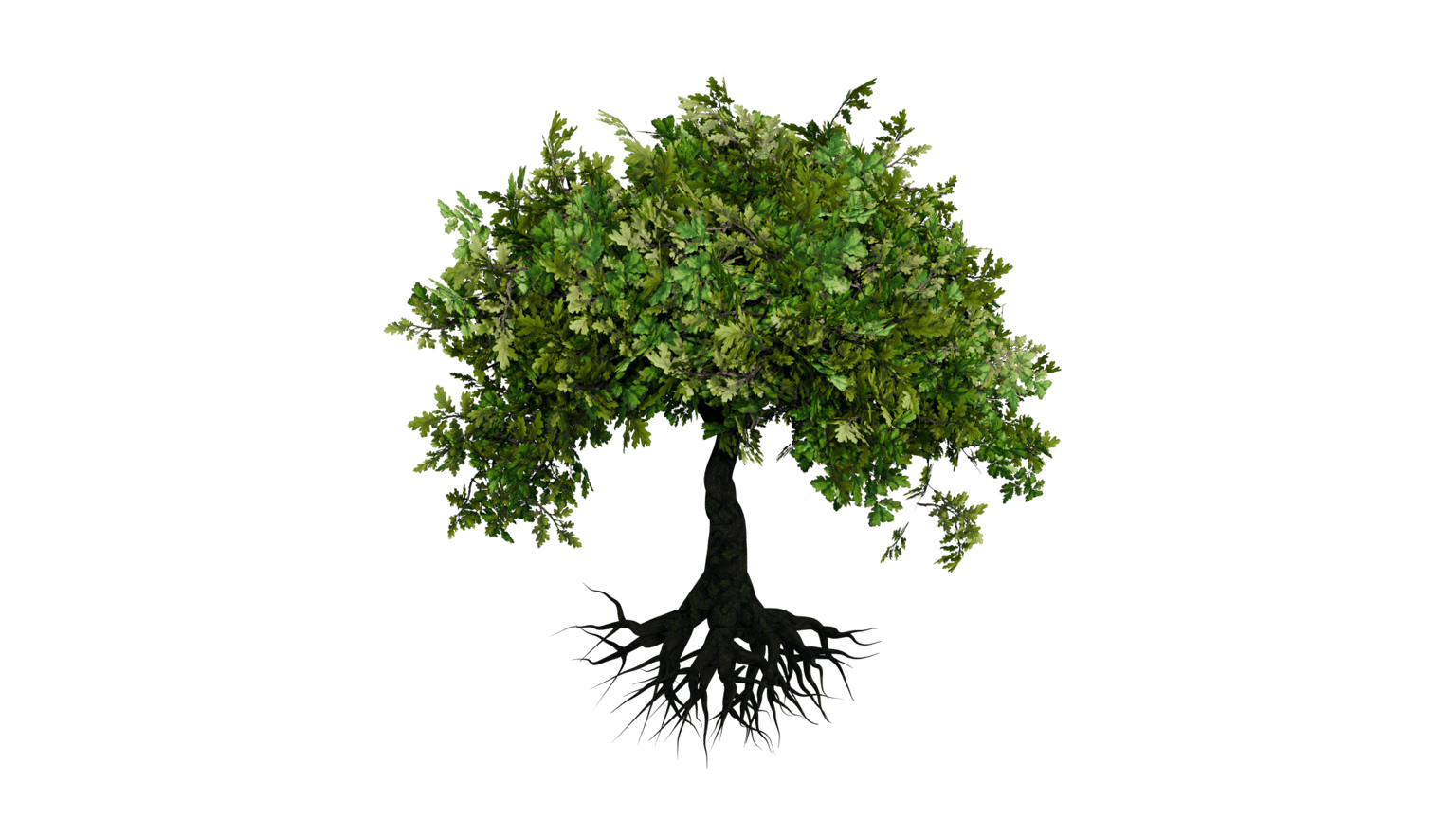 Procedural 3D Tree with Geometry Nodes - image 2 - student project