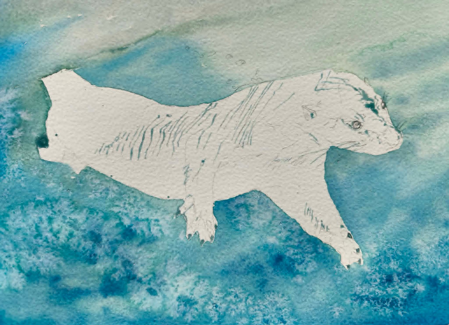 Otter underwater - image 2 - student project