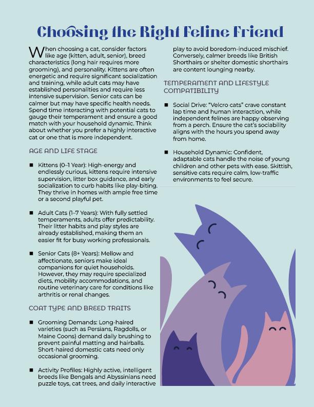 Cat Care - image 3 - student project