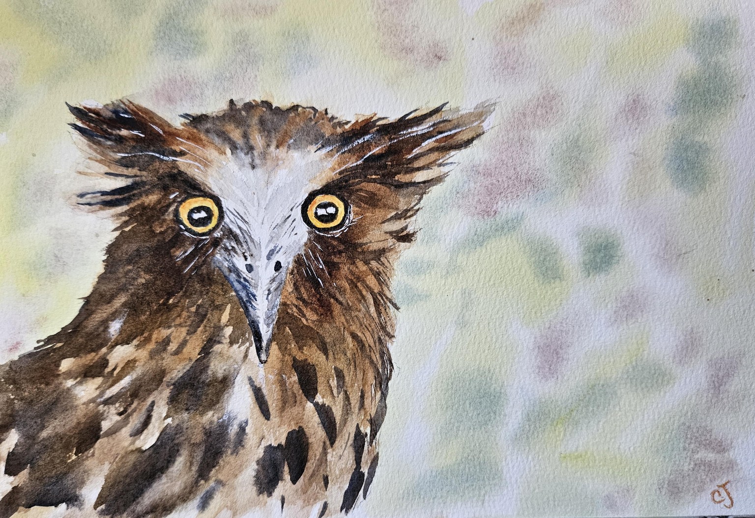 Owl 031426 - image 1 - student project