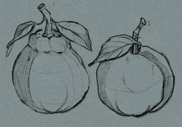 an orange and a peach - image 1 - student project