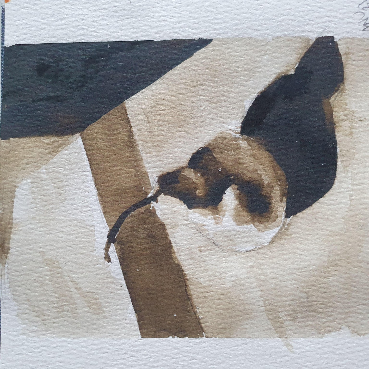 Watercolor sketches in sepia - image 2 - student project