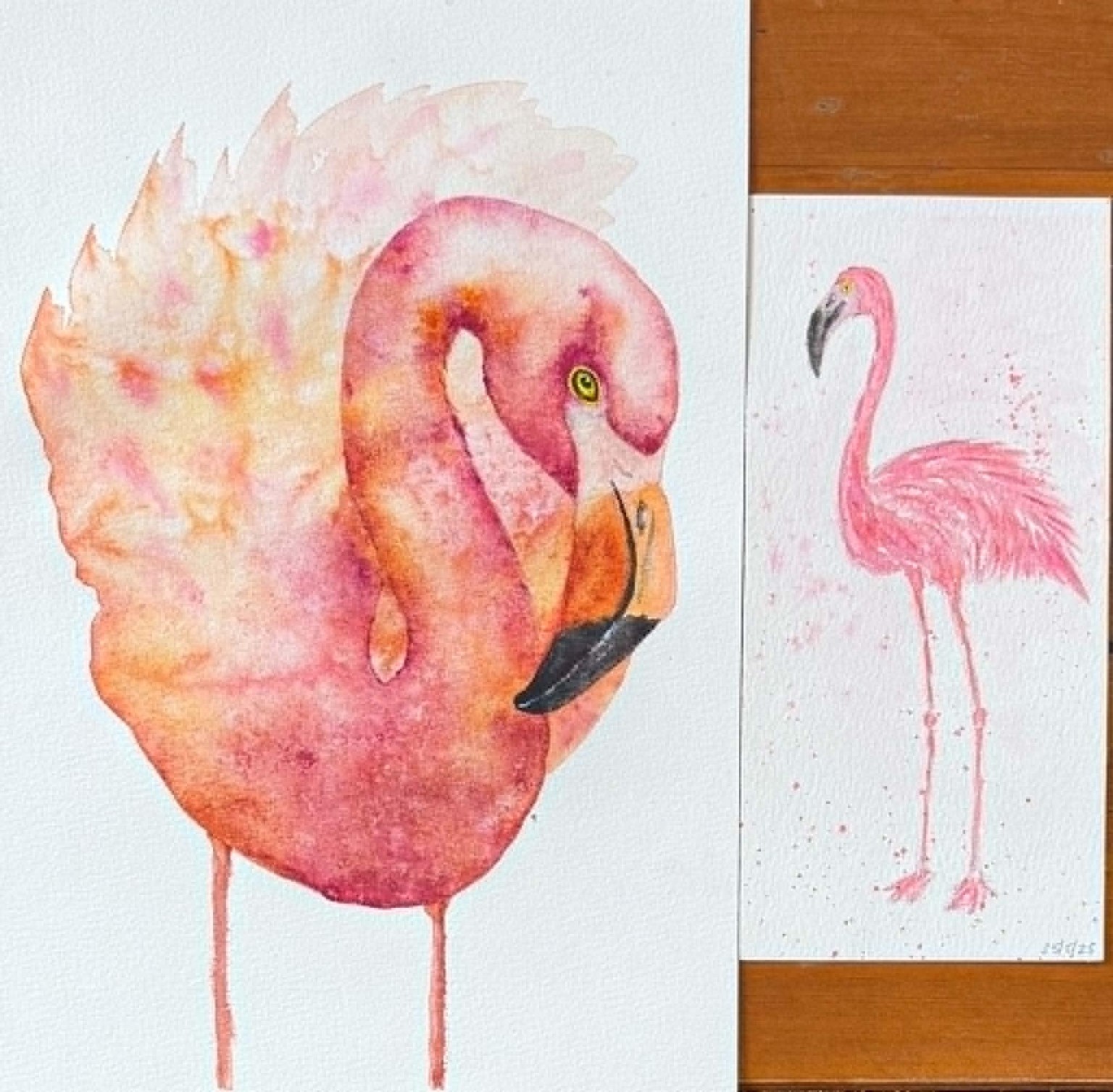 2026 Flamingo - image 1 - student project