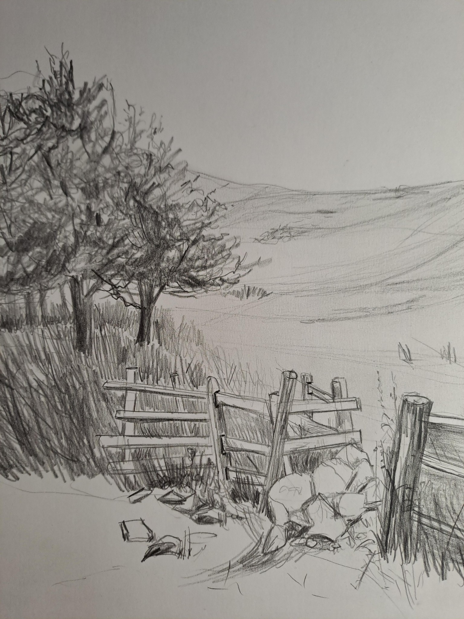 10 days of landscape sketching - image 5 - student project