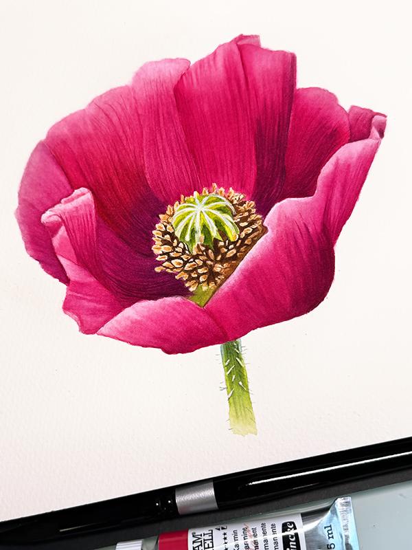 My Poppy - image 1 - student project