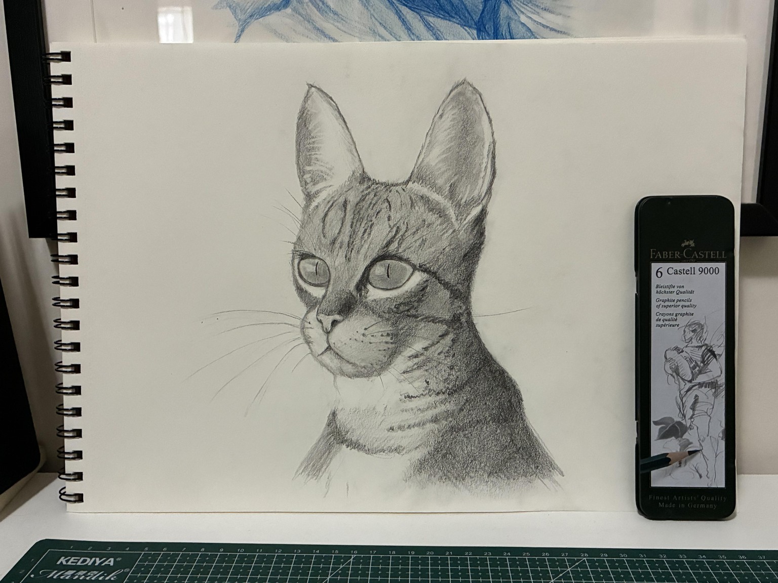Graphite Cat - image 2 - student project