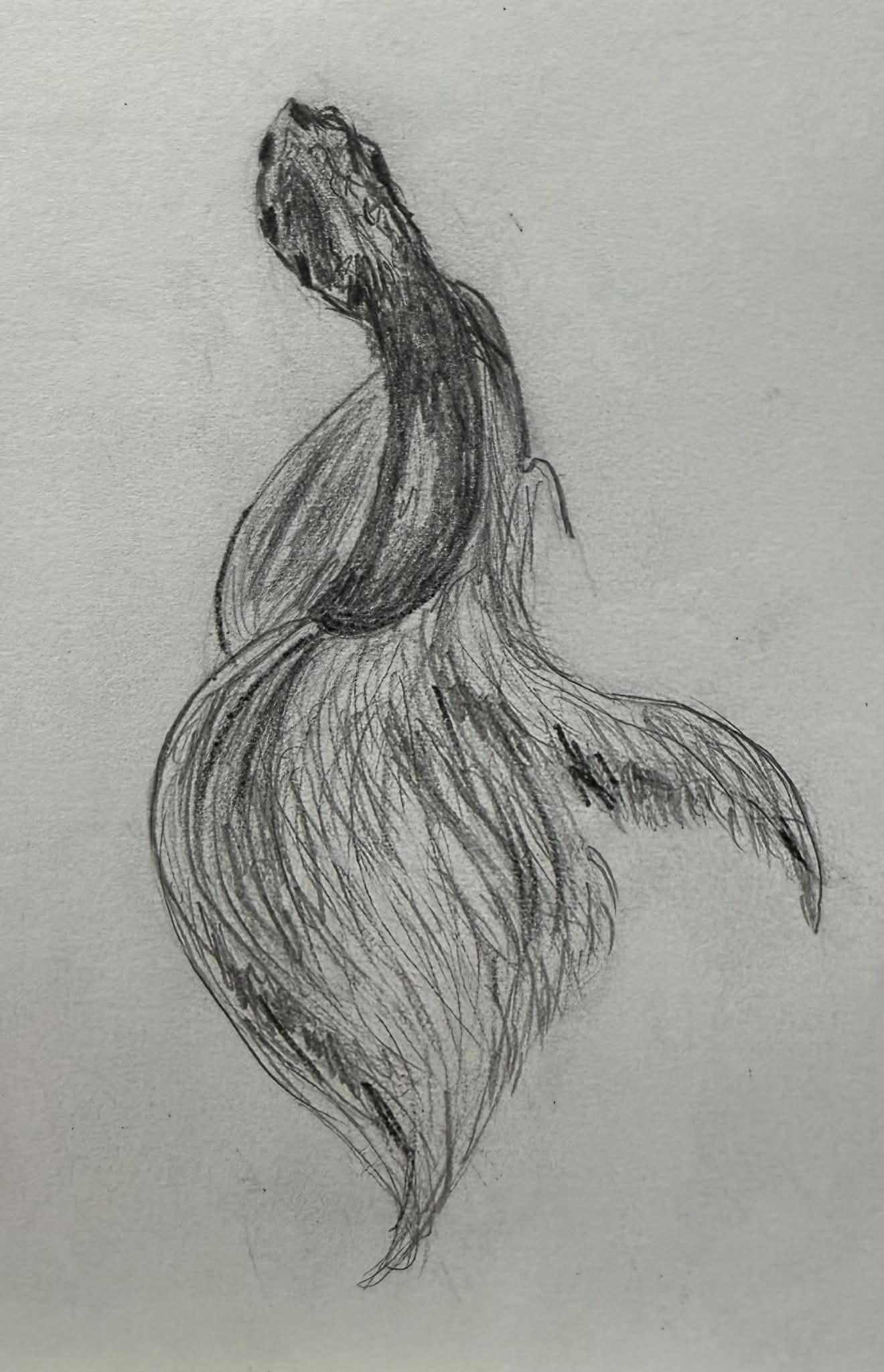 How to Draw 101 - image 7 - student project