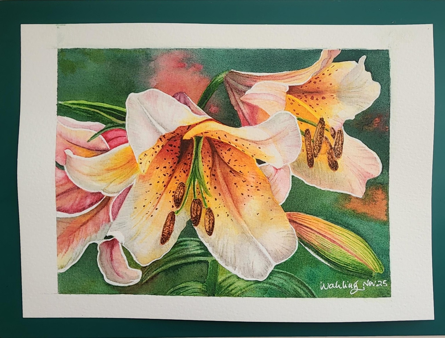 Lilies and Light - image 1 - student project