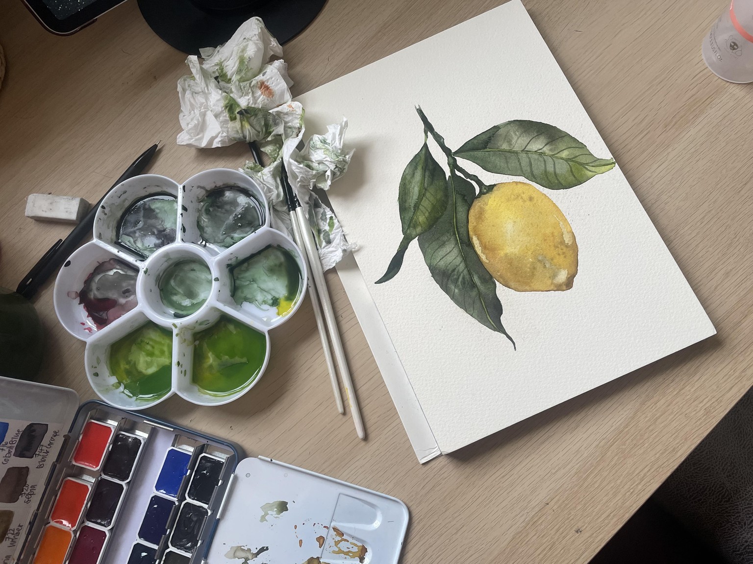 Botanical Lemon Watercolour Exploration - image 1 - student project