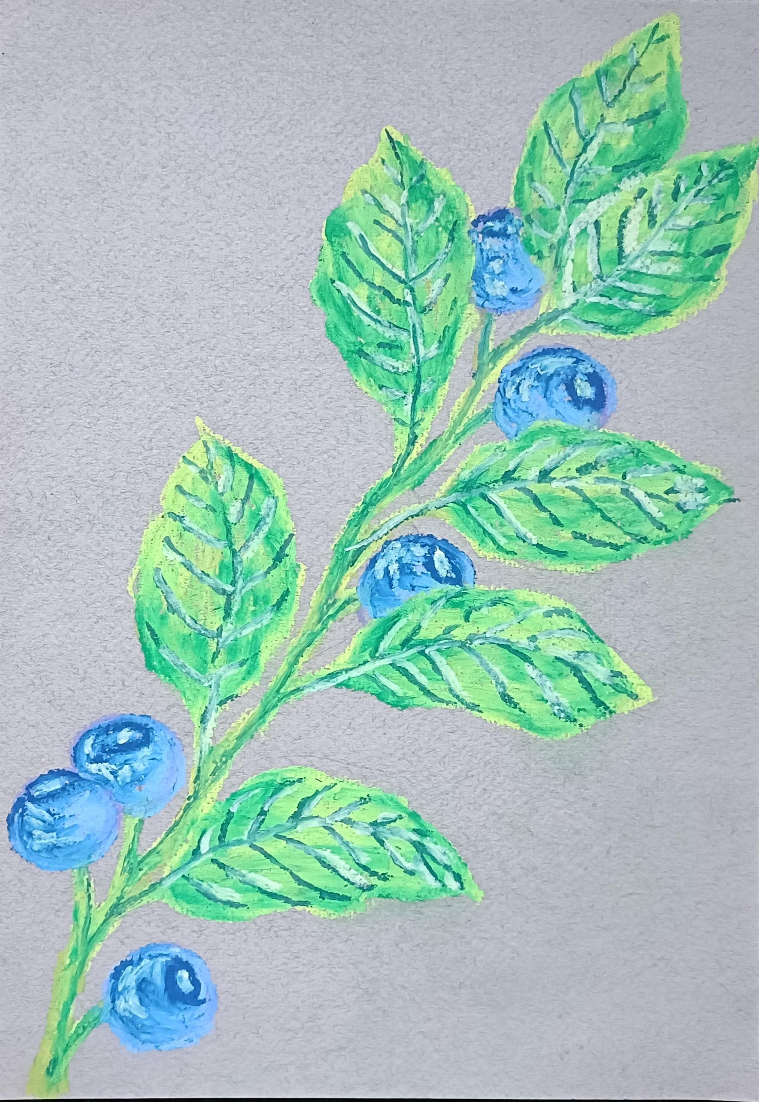 Blueberry branches - image 3 - student project