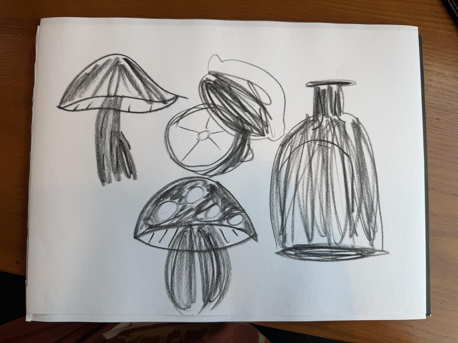 Essence Drawing Project - image 1 - student project