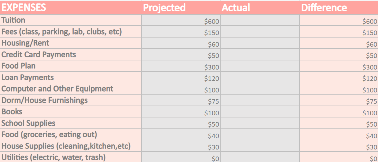 Personal Monthly Budget (Fully Filled by Me) - image 2 - student project