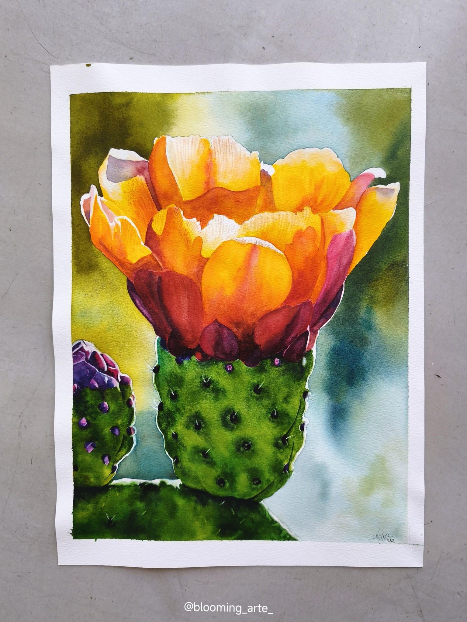 Watercolor Opuntia - image 1 - student project