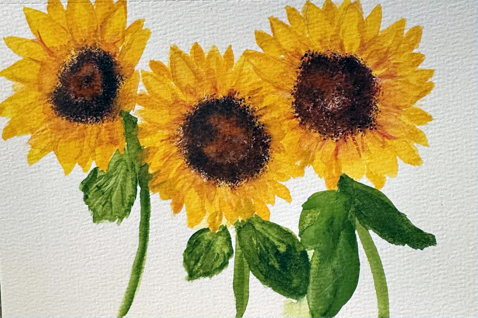 Watercolour Sunflower - image 1 - student project
