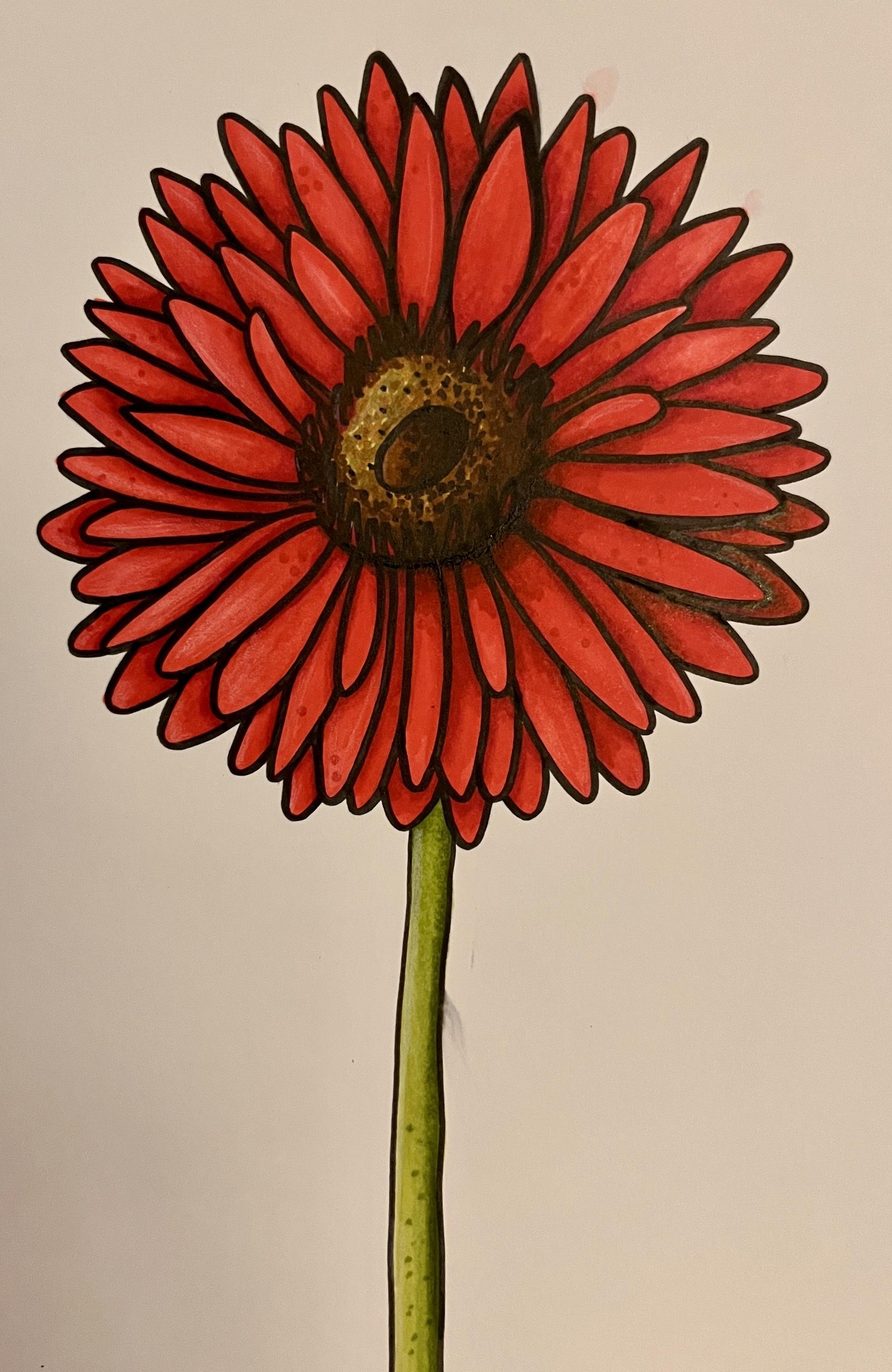 Red Daisy - image 1 - student project