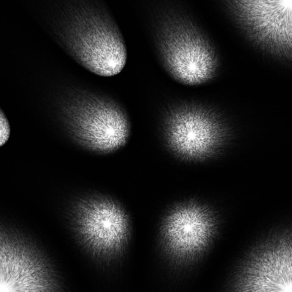 d - image 1 - student project