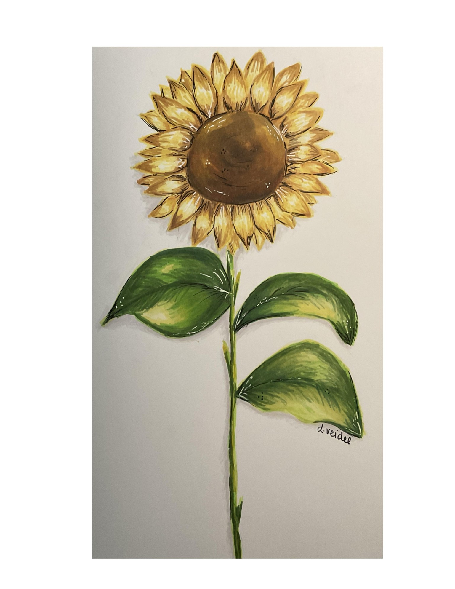 Daisy & Sunflower - image 2 - student project