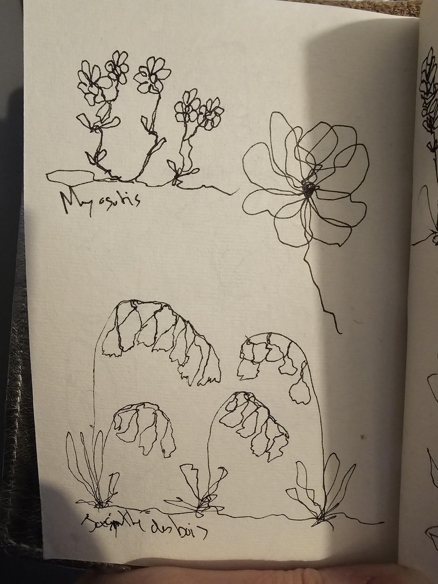 Quelques dessins de fleurs en un seul trait - image 3 - student project
