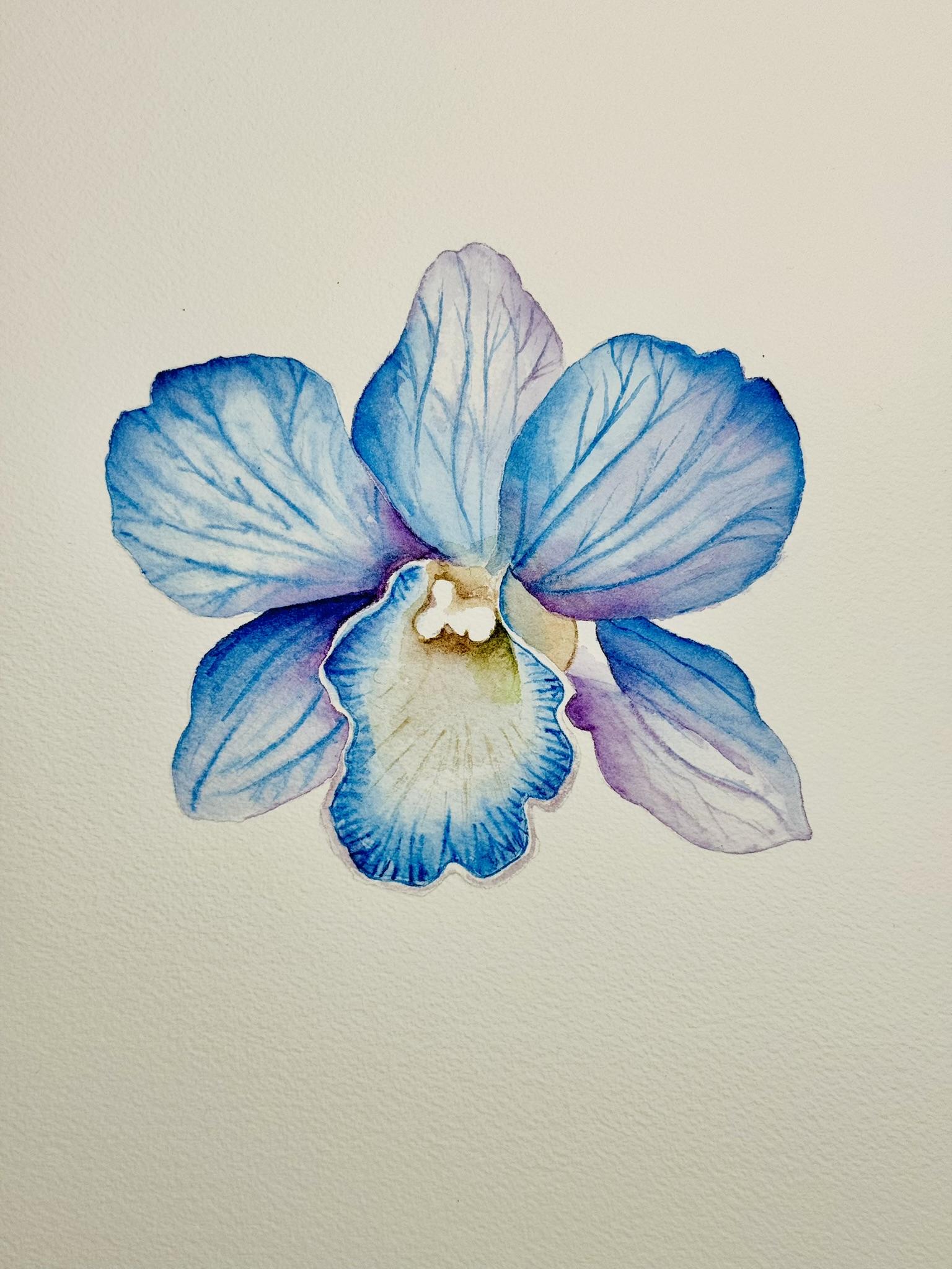 3 Orchids - image 1 - student project
