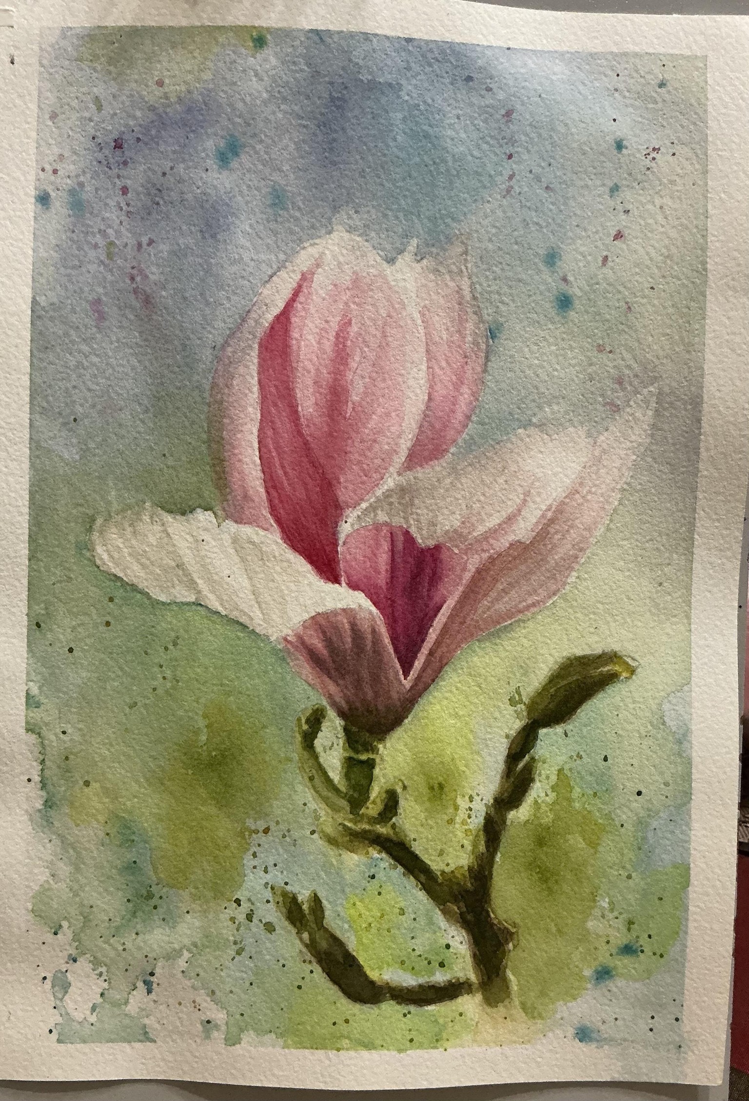 Magnolia Flowers - image 2 - student project