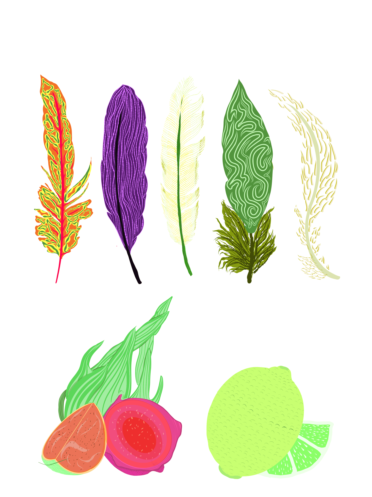 Feathers - image 1 - student project
