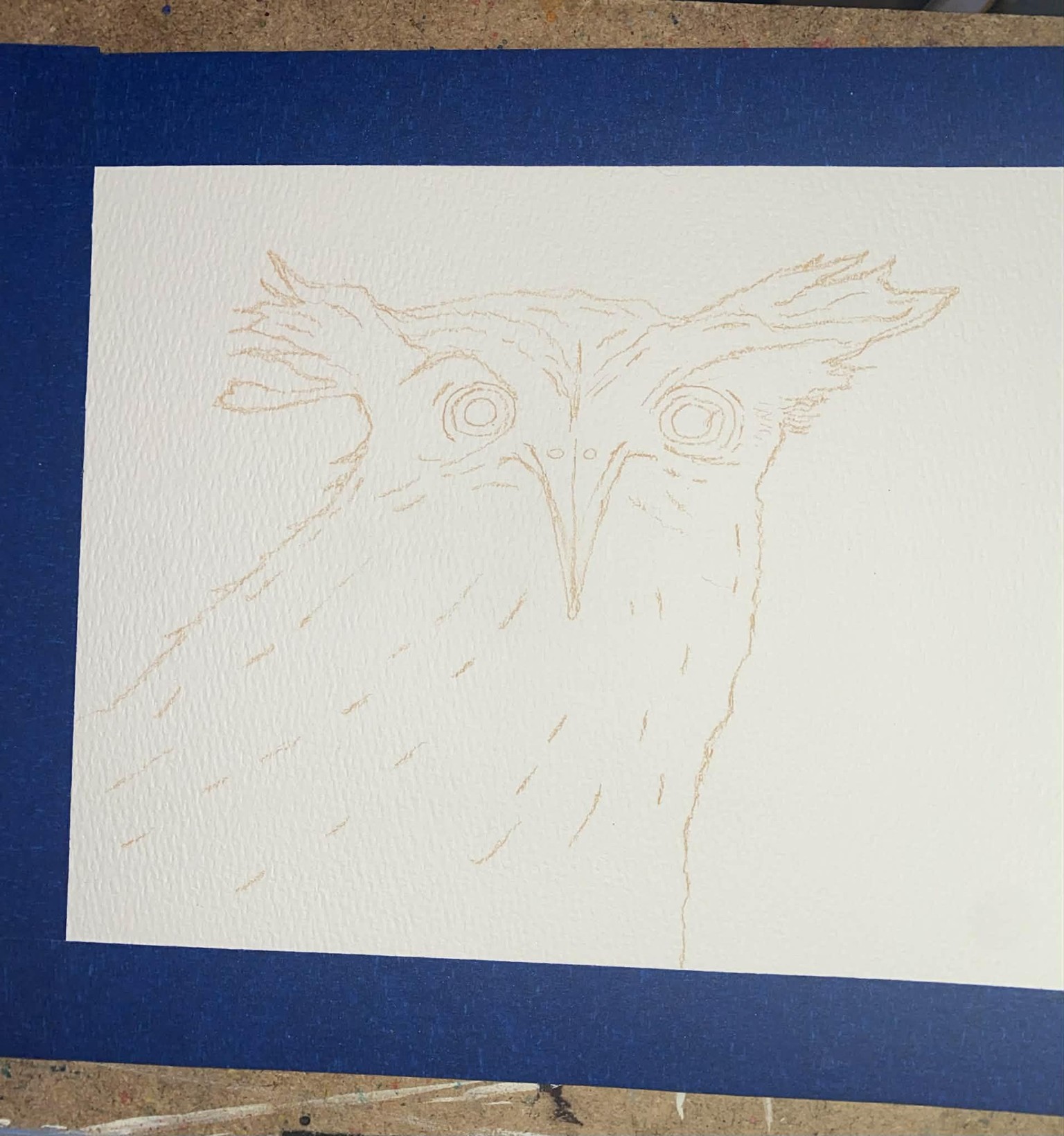 Oswald the (slightly orange) Owl! - image 2 - student project