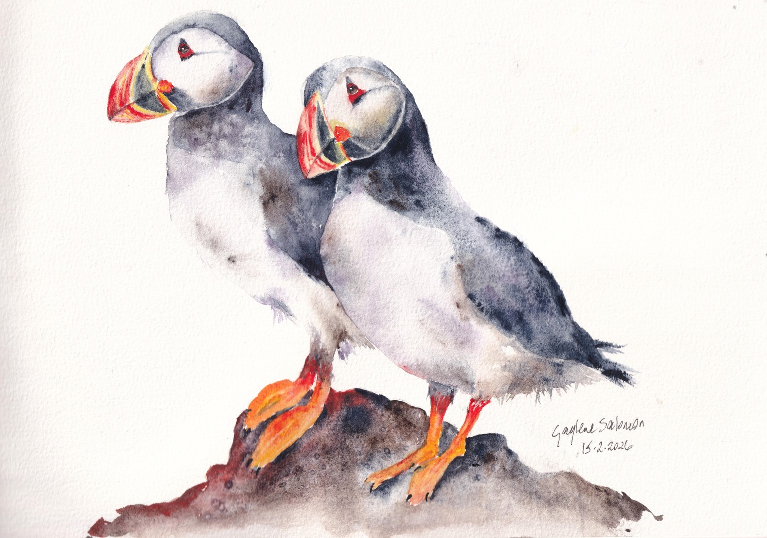 Puffins - image 1 - student project