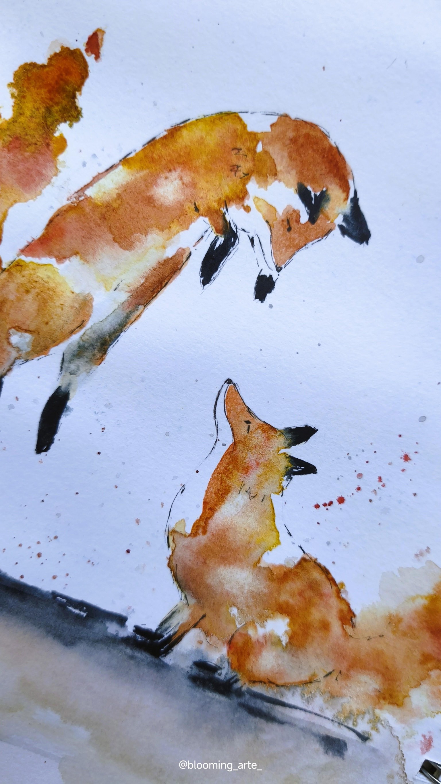 Fast and loose foxes - image 2 - student project
