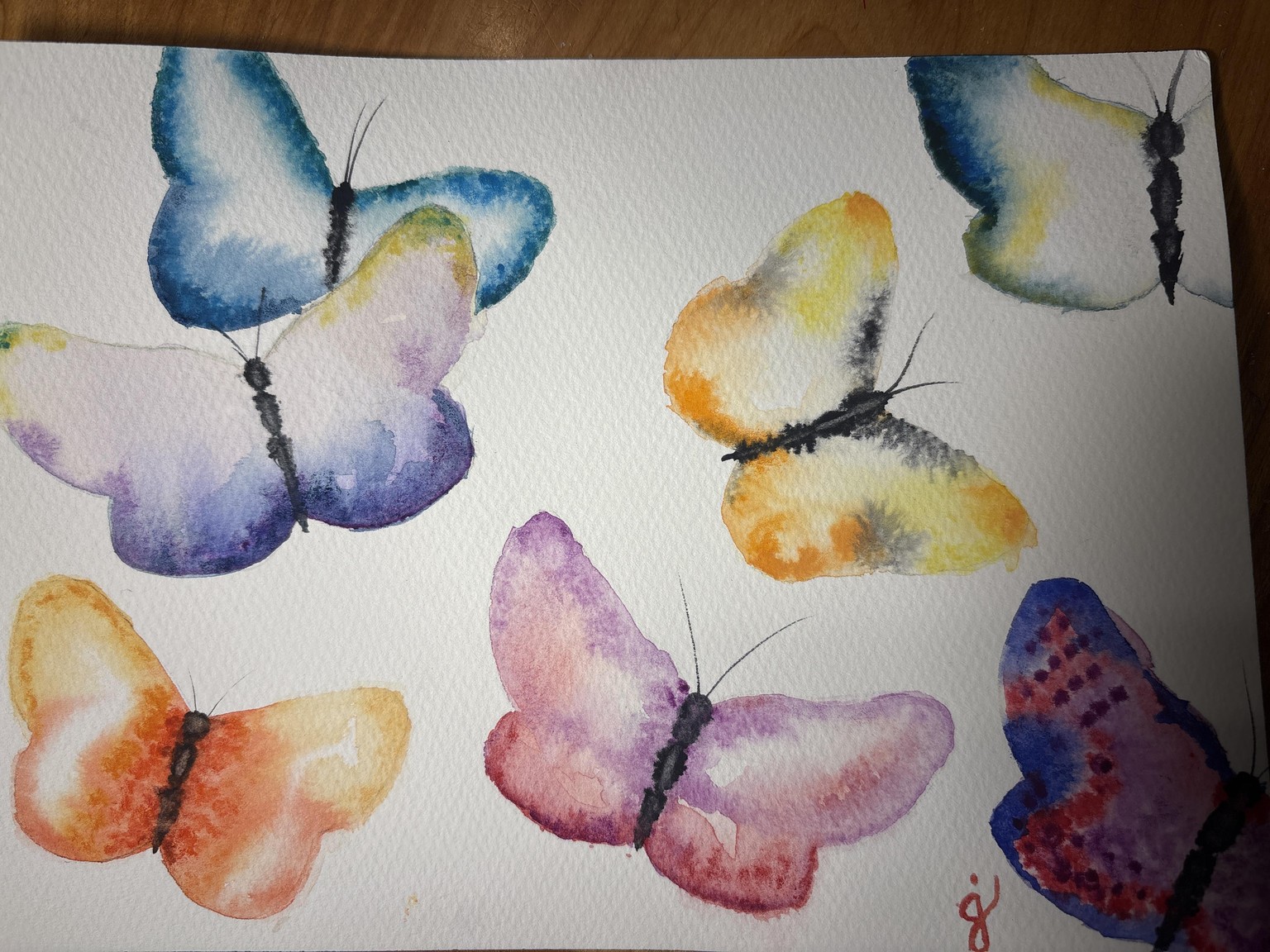 Butterflies Take 1 - image 1 - student project