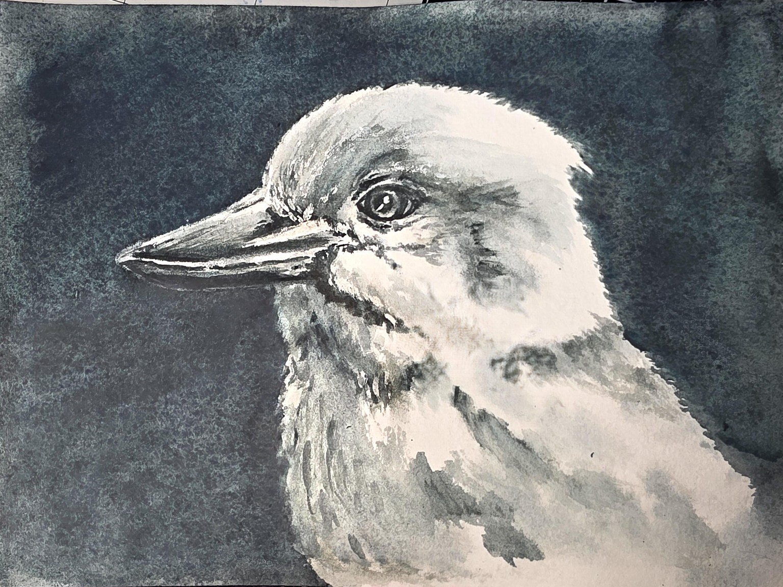 Monochrome Birds - image 1 - student project