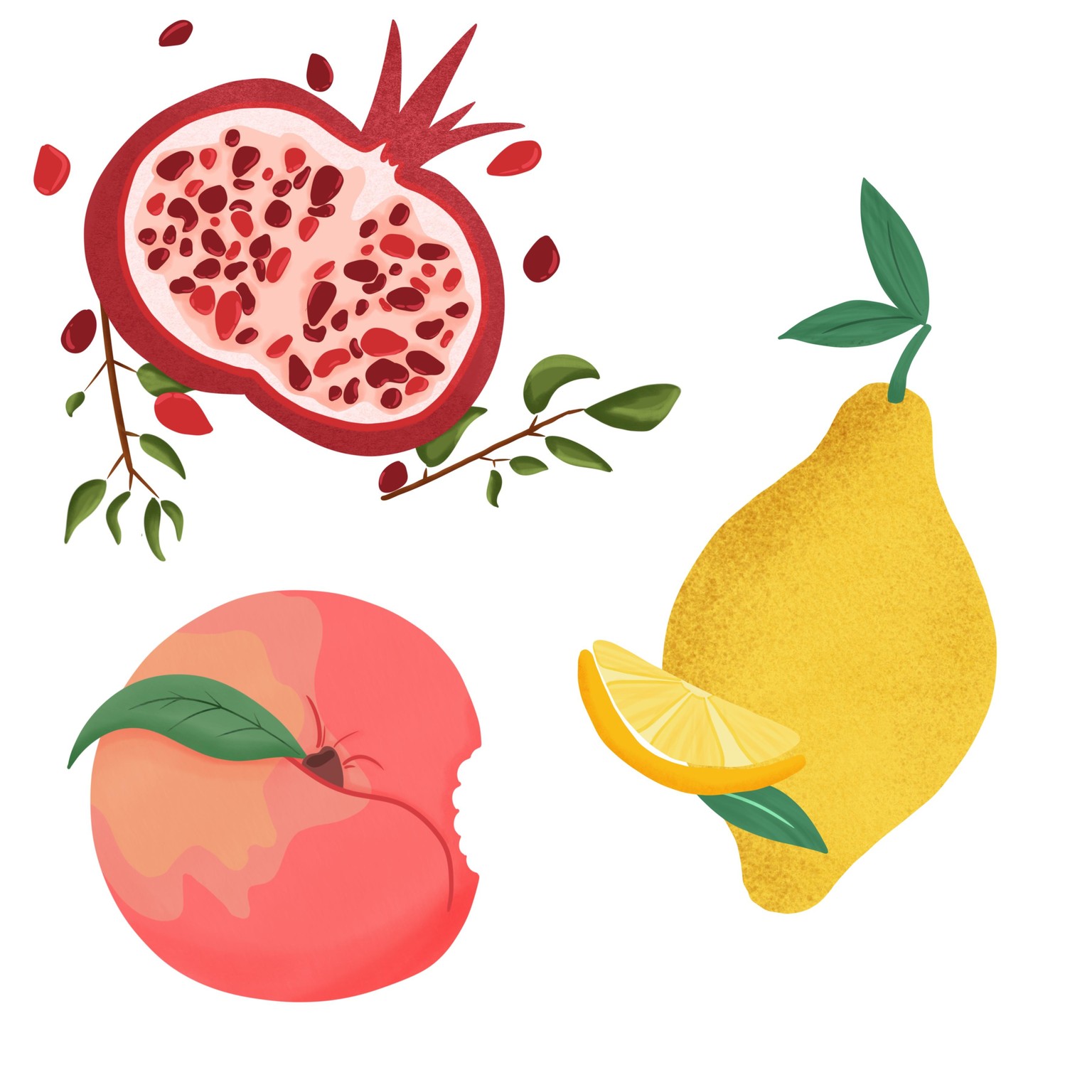 Juicy fruits - image 1 - student project