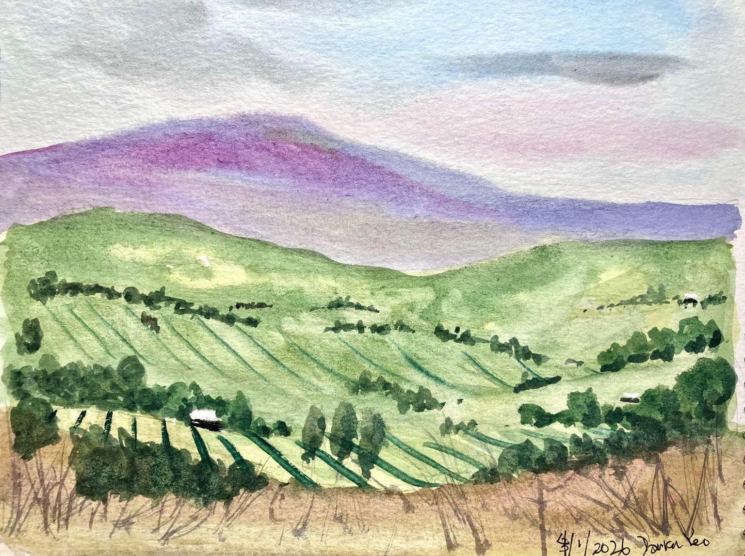 Watercolor scenery:  Ink or no ink? - image 7 - student project