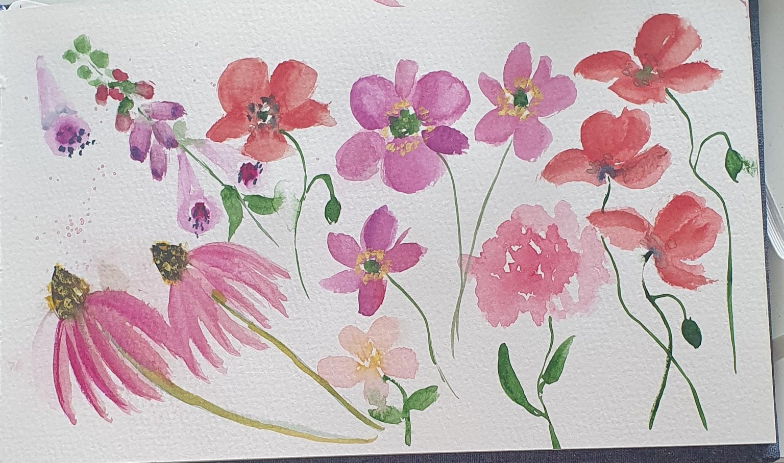 Wildflowers in loose style : - image 3 - student project