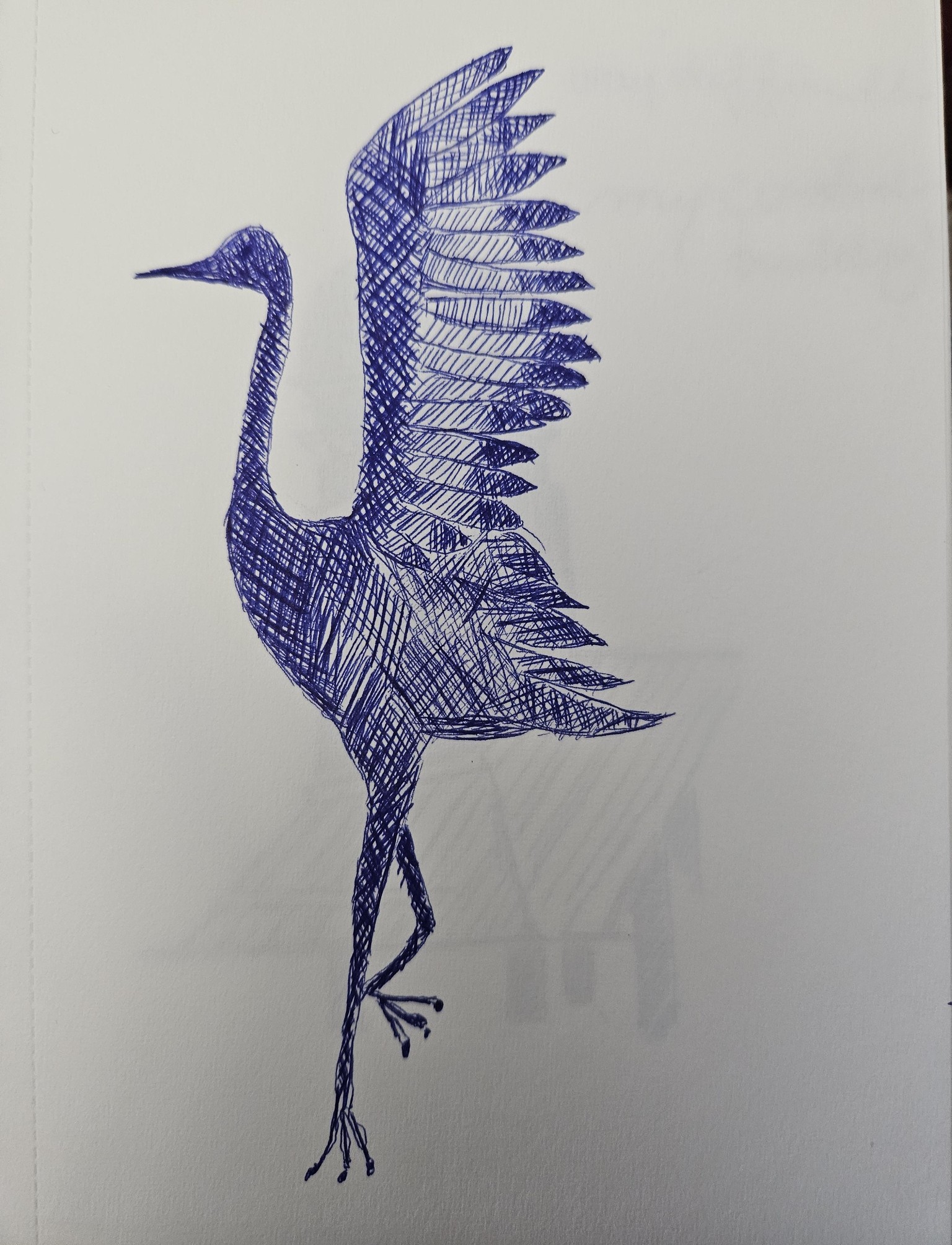 Ballpoint sketches - image 3 - student project
