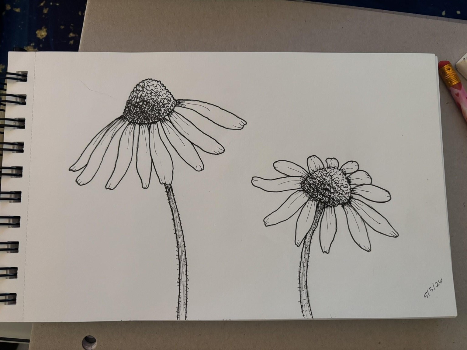 Flower Drawings - image 4 - student project