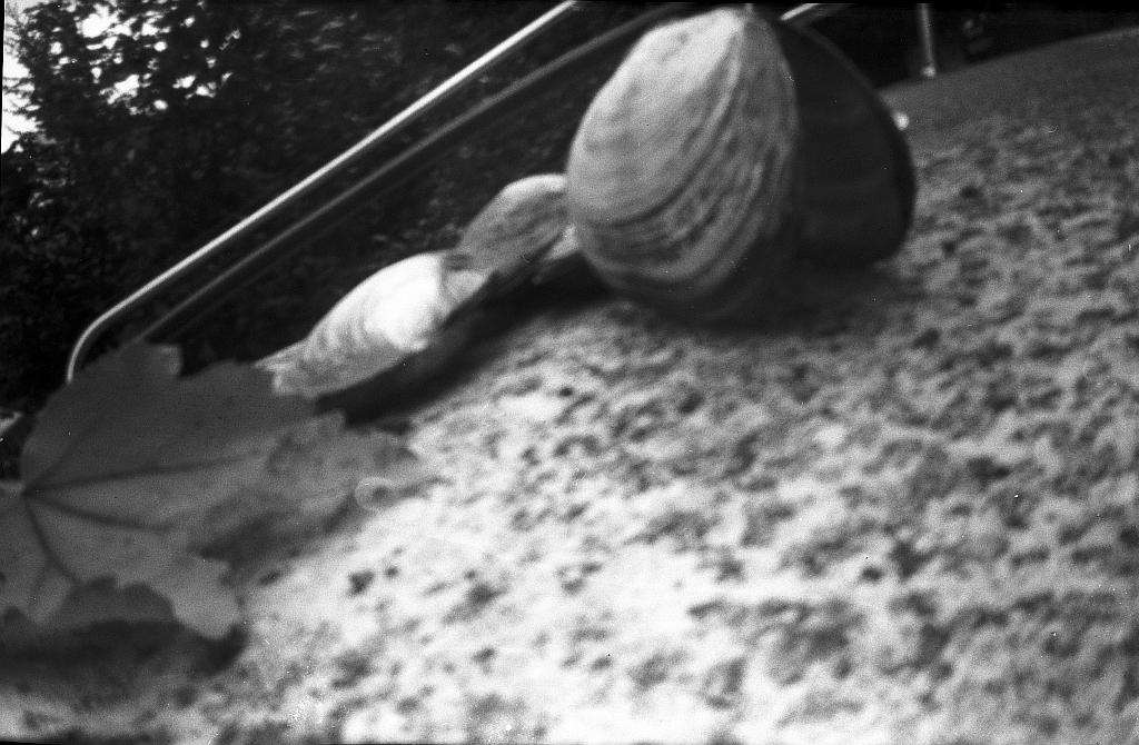 exploring with my selfmade 6x9 pinhole - image 7 - student project