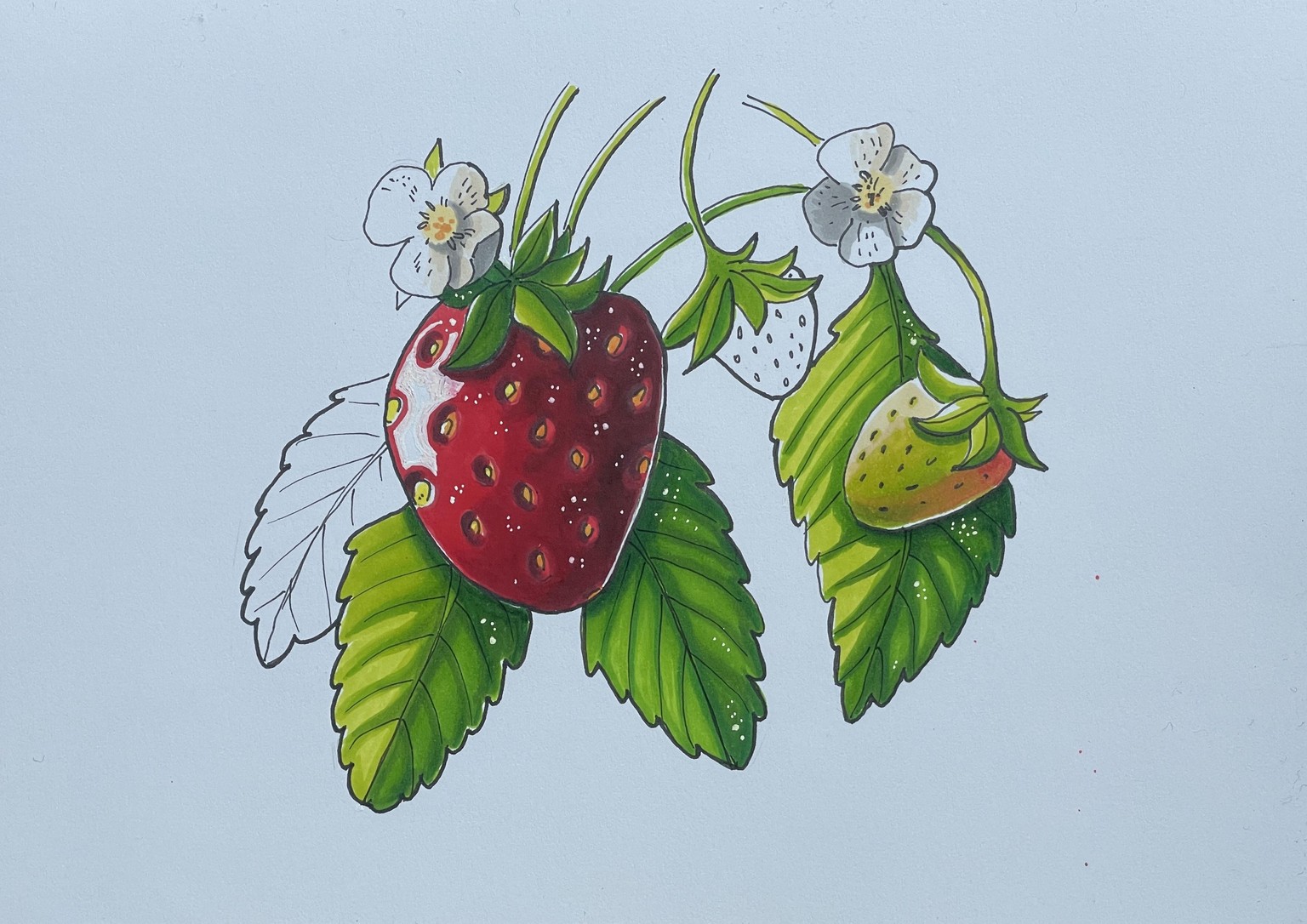 Markers - expressive fruits - image 1 - student project