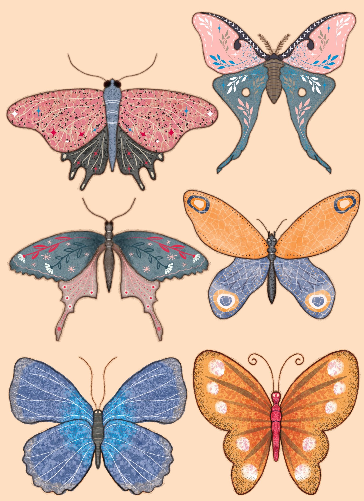 My Butterfly Gallery - image 2 - student project