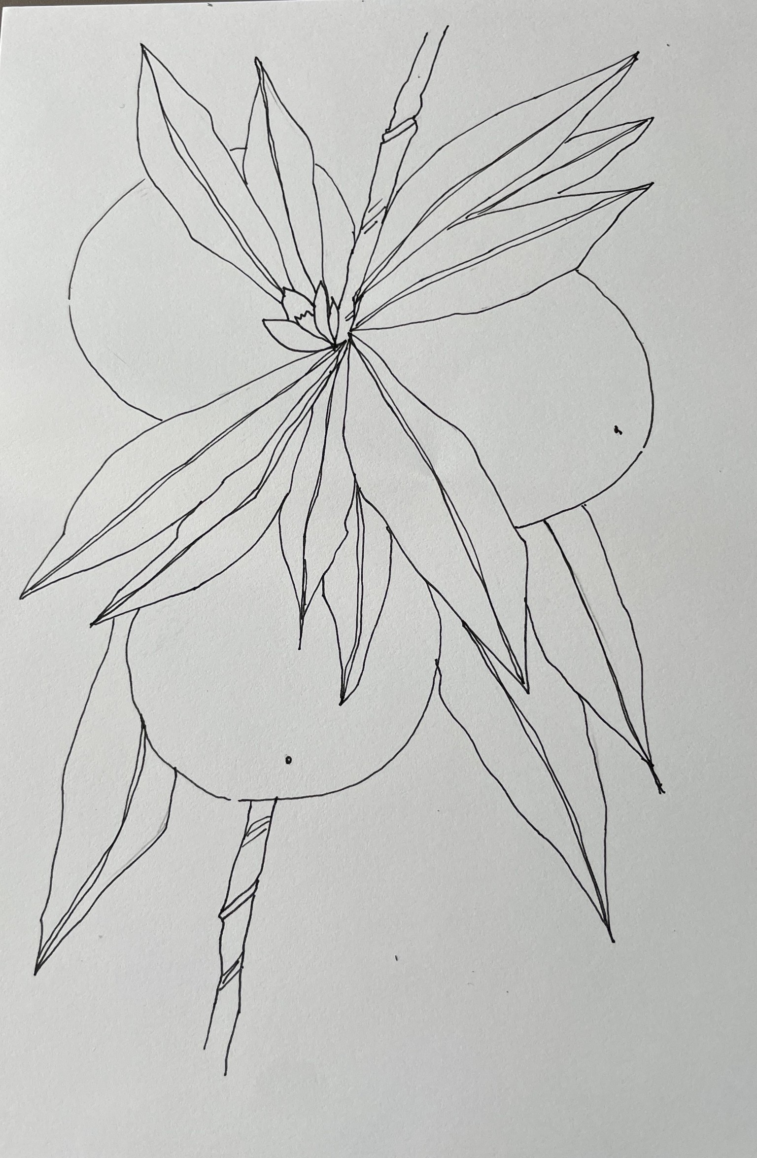 Markers - expressive fruits - image 10 - student project
